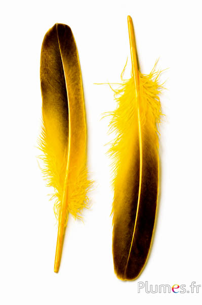 Anatra - 18-20 cm, sinistra e destra - curry-nero